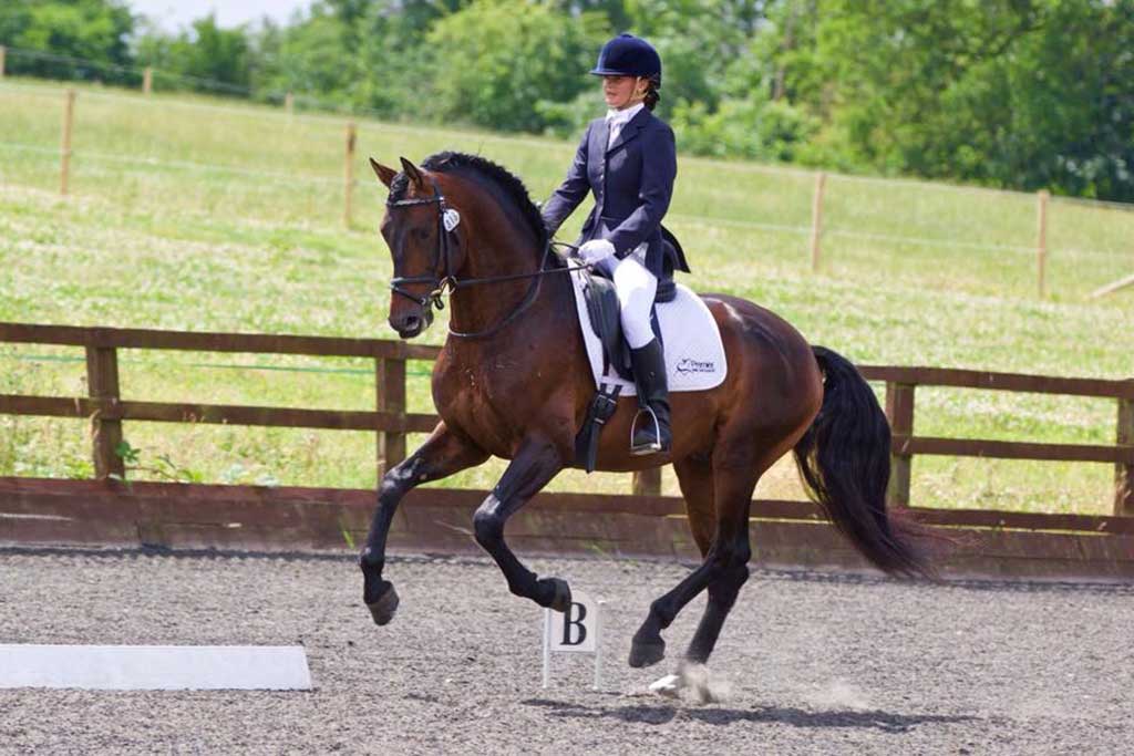 Premier PRE Dressage | Premier PRE Dressage Stud & Training Livery